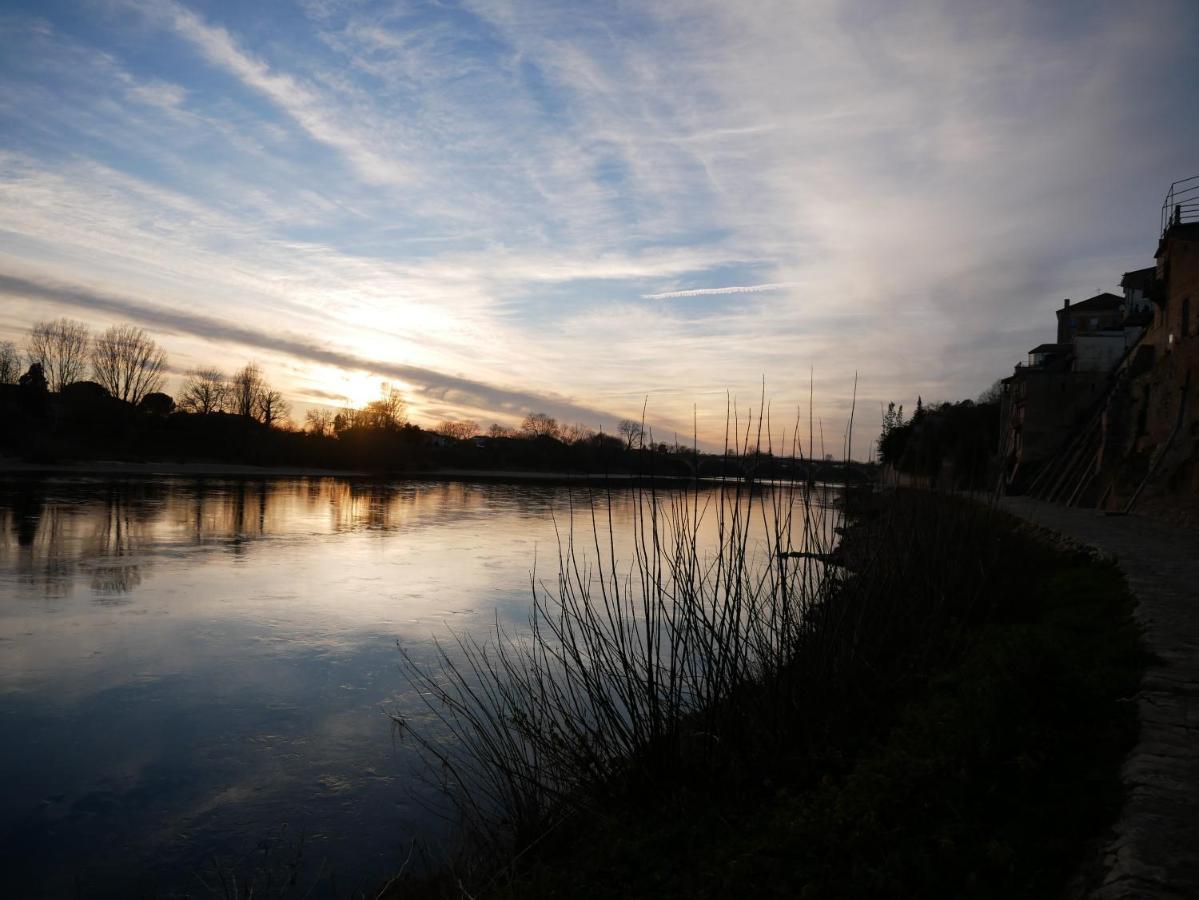 Hotel Restaurant Cote Garonne Le Balcon Des Dames - Tonneins Fauillet Marmande - Vue Panoramique Bord De Garonne Chambres Climatisees Екстер'єр фото